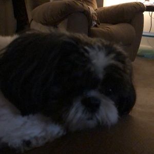 Meet your Posher, Isabel